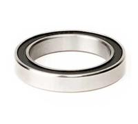 Elvedes Cuscinetti 18207 2rs Silver