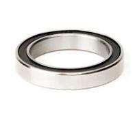 Elvedes Cuscinetto ad Anello in Acciaio Inox di Alta qualità 6902 2RS
