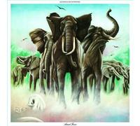 Elvis Costello and The Attractions Armed Forces (CD) Album