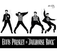Elvis Jailhouse Rock, 40 x 50 cm, Tela Stampe, Multicolore