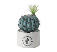 ELzEy Falsificazione Fiore di Simulazione falsificazione Fiore pianta Verde in Vaso Piccolo Ornamenti Creativa del Salone della casa Desktop Verde Succulente Decorazioni vegetali(A)