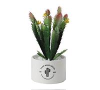 ELzEy Falsificazione Fiore di Simulazione falsificazione Fiore pianta Verde in Vaso Piccolo Ornamenti Creativa del Salone della casa Desktop Verde Succulente Decorazioni vegetali(D)