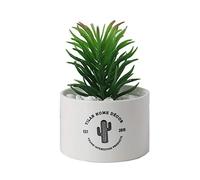 ELzEy Falsificazione Fiore di Simulazione falsificazione Fiore pianta Verde in Vaso Piccolo Ornamenti Creativa del Salone della casa Desktop Verde Succulente Decorazioni vegetali(F)