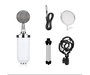 ELzEy Microfono Microfono in metallo, intercettazione telefonica muta for microfono urlante Karaoke Network K Song (Color : White)