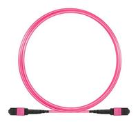 EMACHINE - Cavo Patch A 12 Fibre Mtp-f / mtp-f Om4 Code A 3m