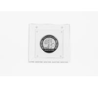Emblema AMG Parafango A0008170905 W177 C205 S213 Originale