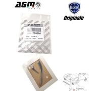 EMBLEMA SIGLA MODELLO POSTERIORE ORIGINALE LANCIA YPSILON 843 51795500