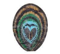 Embroidered Fabric Patches 12pcs Set | Peacock Feather Design for Clothes Repair/DIY Crafts/Home Decor | Iron - On & Sew - On Sturdy Applique