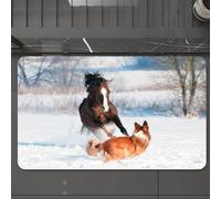 EMCLKS Tappeto Bagno 60x90 cm,Il pony gallese e il cane border collie giocano in inverno,Tappetino Assorbente e Antiscivolo in Microfibra per Bagno,Cucina,Camera da Letto,Corridoio