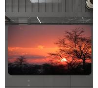 EMCLKS Tappeto Bagno 60x90 cm,Tramonto sereno attraverso rami spogli, il bagliore del sole dietro gli albe,Tappetino Assorbente e Antiscivolo in Microfibra per Bagno,Cucina,Camera da Letto,Corridoio