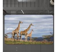 EMCLKS Tappeto Bagno 60x90 cm,Tre giraffe sono in alto sulla prateria con un cielo spettacolare e alberi s,Tappetino Assorbente e Antiscivolo in Microfibra per Bagno,Cucina,Camera da Letto,Corridoio