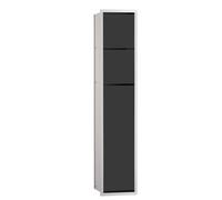 Emco asis modulo 150 modulo WC da incasso modello modulo WC, portacarta, scatola di carta umida, set di spazzole per toilette, Colorazione: alluminio/nero