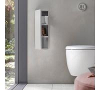 Emco asis module plus, modulo WC - modello da incasso, 3 scomparti per carta WC, rotolo di ricambio o scatola di carta bagnata, cerniera porta a sinistra