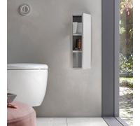 Emco asis module plus, modulo WC - modello da incasso, 3 scomparti per carta igienica, rotolo di riserva o cassetta per carta umida, fermo porta a destra