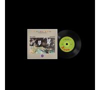 Emeli Sandé/John Gra The Endless Coloured Ways: The Songs of Nick Dra (Vinyl LP)