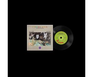 Emeli Sandé/John Gra The Endless Coloured Ways: The Songs of Nick Dra (Vinyl LP)