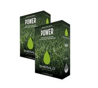 Emerald POWER, Semi per prato resistente e folto, Germinazione rapida e tappeto erboso fitto anche in siccità, 1kg x 40mq (2, Kg)