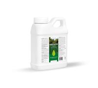 EMERALD PRECISION, Concime Liquido con Ferro, Fertilizzante per Tappeti Erbosi