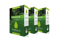 Emerald SHADOW, Semi Prato Resistente all’Ombra, Crescita Rapida, Colore Intenso, Alta Resistenza a Calpestio e Malattie, Ideale per Giardini e Zone Difficili, 1kg x 40mq (3, kg)