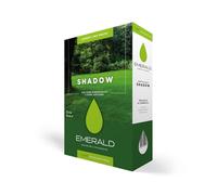 Emerald SHADOW, Semi Prato Resistente all’Ombra, Crescita Rapida, Colore Intenso, Alta Resistenza a Calpestio e Malattie, Ideale per Giardini e Zone Difficili, 1kg x 40mq (1, kg)