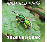 Emerald Wasp Calendar 2026: Discover the vibrant colors and fascinating habits of these tiny marvels | Kalender Calendario Calendrier