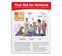 Emergency First Aid Poster Safety Chart for Seizures Canvas Wall Art Prints for Home Office Bedroom Decor(Framed,08x12inch(20x30cm))