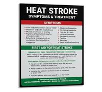 Emergency Heat Stroke First Aid Guide Poster Symptoms Educational Infographic Canvas Print Wall-Art for Clinic Office Home(Framed,08x12inch(20x30cm))