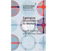 Emerging Questions in AI Welfare