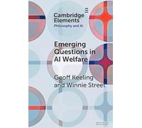 Emerging Questions in AI Welfare