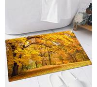 EMFSLA Tappeto Bagno,Tappetino Antiscivolo per Il Bagno,Foresta, caldo paesaggio autunnale con foglie di acero pallido nella foresta di nove,Soffice Tappeto da Bagno in Microfibra,Assorbente,60x90 CM
