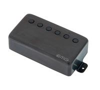 EMG 66 Brushed Black Chrome