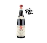 EMIDIO PEPE CERASUOLO D'ABRUZZO 2024 VINO ROSATO DOC ABRUZZO