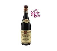 EMIDIO PEPE MONTEPULCIANO D'ABRUZZO 2023 VINO ROSSO DOCG ABRUZZO