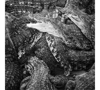 Emilie Levienaise-Farrouch Like Water Through the Sand (CD) Album