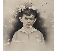 Emilie Levienaise-Farrouch - Ravage