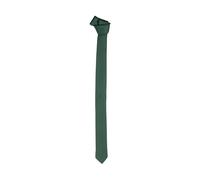Emilio Romanelli Elegant Green Silk Slim Tie