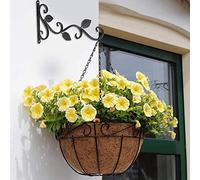 Eminchu Ganci per Piante da Parete in Stile Europeo da 2 Pezzi, Staffe per Piante Sospese, Supporti per Vasi da Fiori per Decorazioni da Giardino con Accessori a Vite (BLACK)