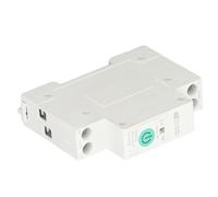 Eminchu Interruttore Automatico WiFi Intelligente con Telecomando e Protezione da Sovratensione per Domotica 1P Design 63A
