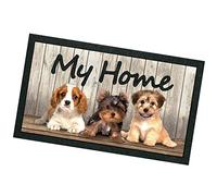 emmevi Zerbino Ingresso 40x70 Asciugapassi Casa Tappeto Antiscivolo Cani mod.FORMAT PRINT RETTANGOLARE (C)