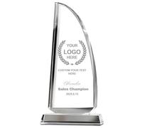 Emoragifou Trofeo di cristallo personalizzato 25 x 12 cm, targa premio in cristallo con incisione personalizzata con il tuo logo/emblema/testo, premi personalizzati e trofei per sport, eventi