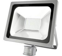 Emos * Model, a Riflettore LED professionale 50 W PIR, CW, in alluminio, Silver, 29,5 x 14,5 x 32,5 cm