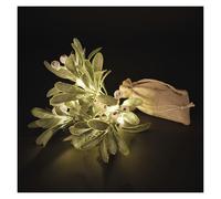 EMOS - Ramo di vischio a LED - Cespuglio di vischio con 14 LED, bianco caldo - Timer da 6/18h, funzionamento a batteria (2 x AA), cavo da 0,25 m, sacchetto di iuta incluso - Durata 10000 ore - per