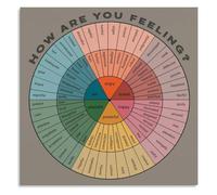 Emotion Wheel Poster Feelings Chart Self Awareness Communication Tool | Expands emotional vocabulary beyond happy sad angry to nuanced states(Framed,16x24inch(40x60cm))