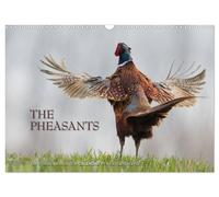 Emotional Moments: The pheasants. UK-Version (Wall Calendar 2027 DIN A3 landscap