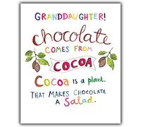 Emotional Rescue Biglietto di compleanno per nipote, divertente, vivace, cioccolato, 15,2 x 17,8 cm, Happy Birthday