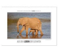 Emotionale Momente: Aus dem Leben der Elefanten. / CH-Version (Wandkalender 2026 DIN A2 quer), CALVENDO Monatskalender: Aus vielen tausend ... Bilder für diesen Kalender ausgesucht.