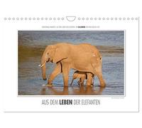 Emotionale Momente: Aus dem Leben der Elefanten. / CH-Version (Wandkalender 2026 DIN A4 quer), CALVENDO Monatskalender: Aus vielen tausend ... Bilder für diesen Kalender ausgesucht.
