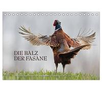 Emotionale Momente: Die Balz der Fasane / CH-Version (Tischkalender 2026 DIN A5 quer), CALVENDO Monatskalender: Die Balz der Fasane ist exotisch und ... dies in wunderschönen Bildern festgehalten.