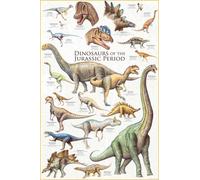 Empire 536 181 per l'istruzione - Formazione - Dinosaurs Dinosaurs - Jurassic Periodo Educazione Poster Poster - Maxi Poster Versione in Lingua Inglese - Dimensioni 61 x 91.5 cm