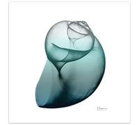 Empire Art Direct Shimmering Snail I Wall Art su pannello in vetro temperato senza cornice galleggiante pronto da appendere, soggiorno, camera da letto e ufficio, 61 x 61 x 0,5 cm